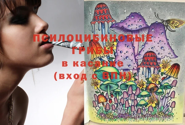 mix Горнозаводск