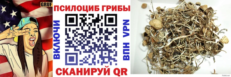 Галлюциногенные грибы MAGIC MUSHROOMS Сокол